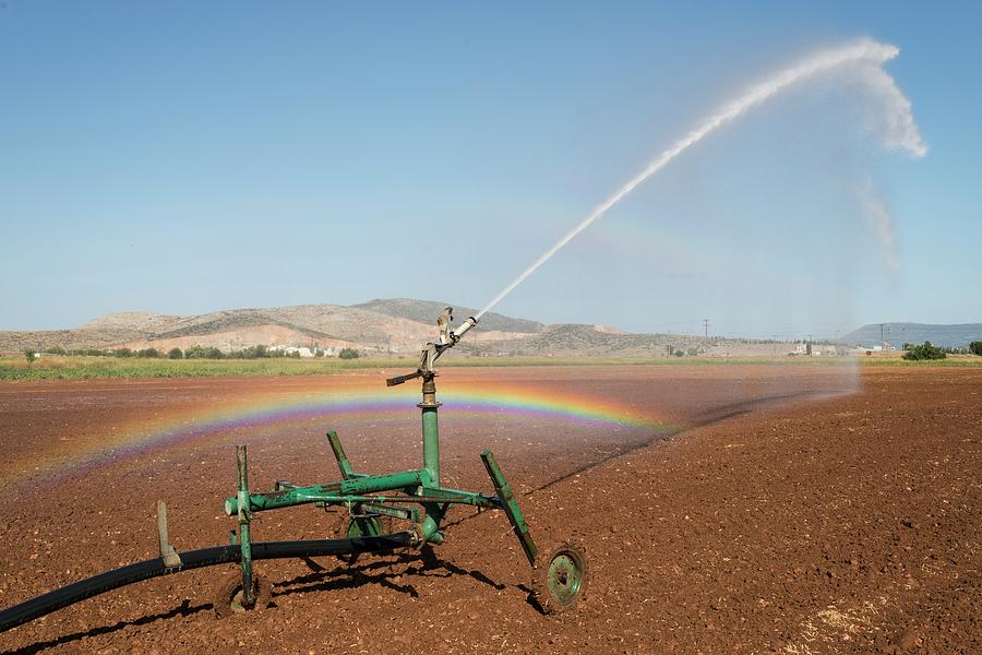 Spray Irrigation Of A Red Onion Field #1 Photograph by Science Photo Library Spray Irrigation Of A Red Onion Field #1 Photograph by Science Photo Library