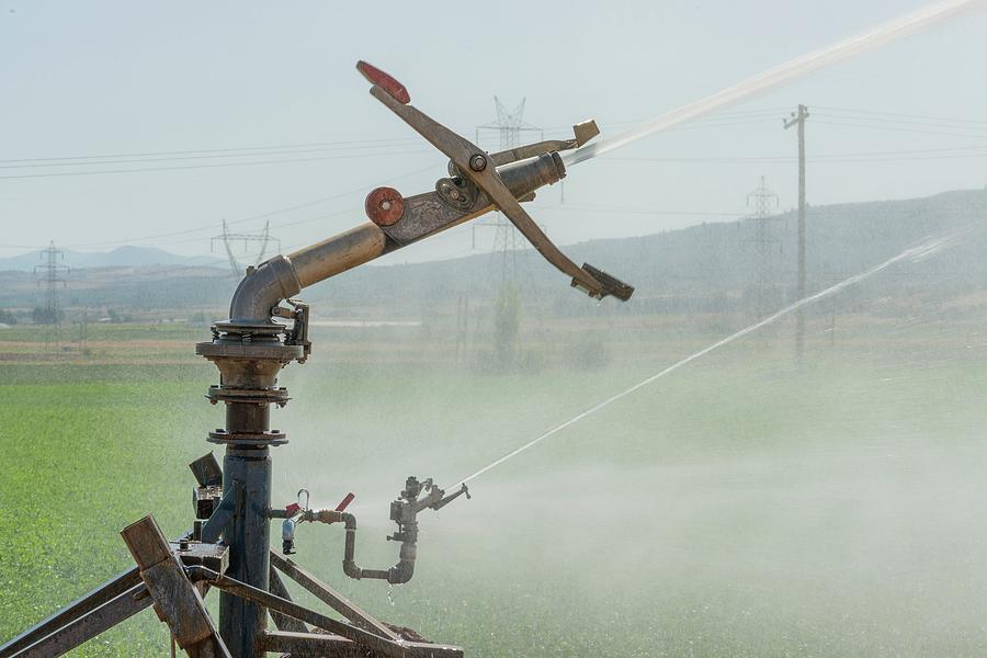 Spray Irrigation Of Alfalfa Field 1 Photograph by David Parker/science