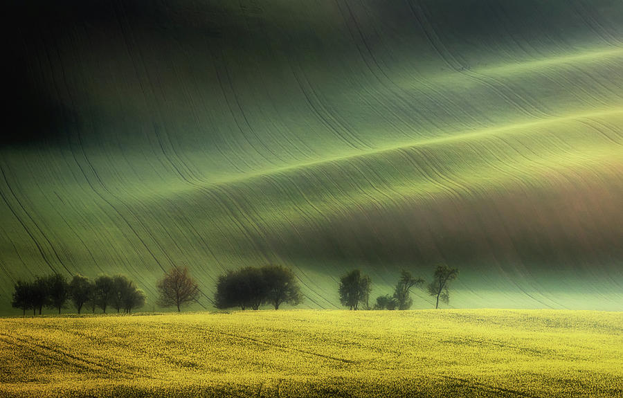 Spring Fields #1 Photograph by Piotr Krol (bax)