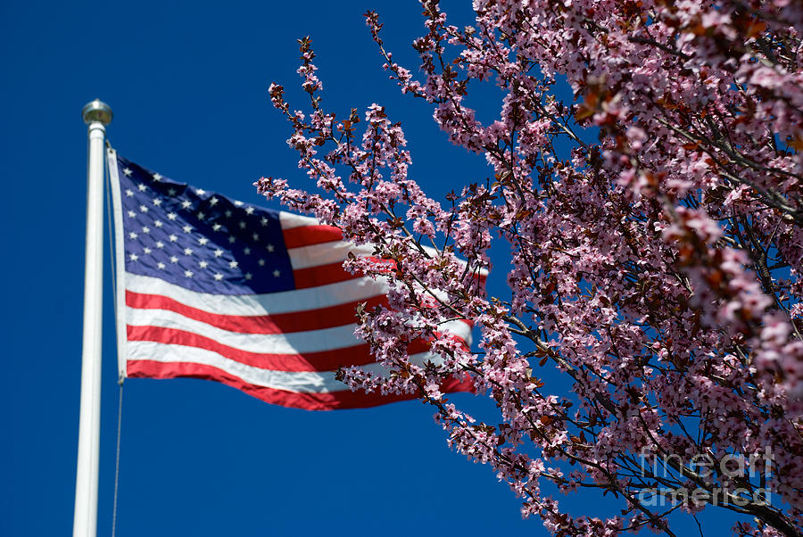 Spring Flag #1 Photograph by Mark Dodd