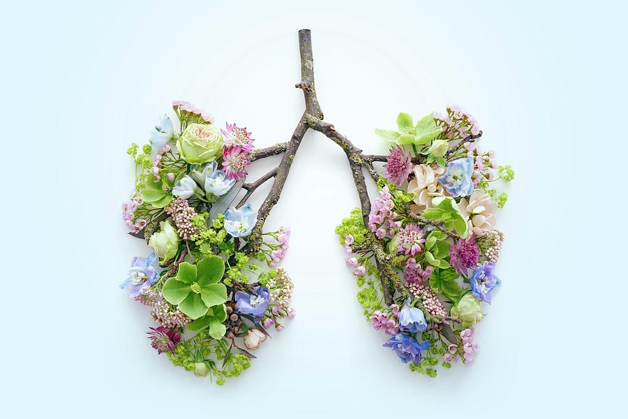 lung with flowers