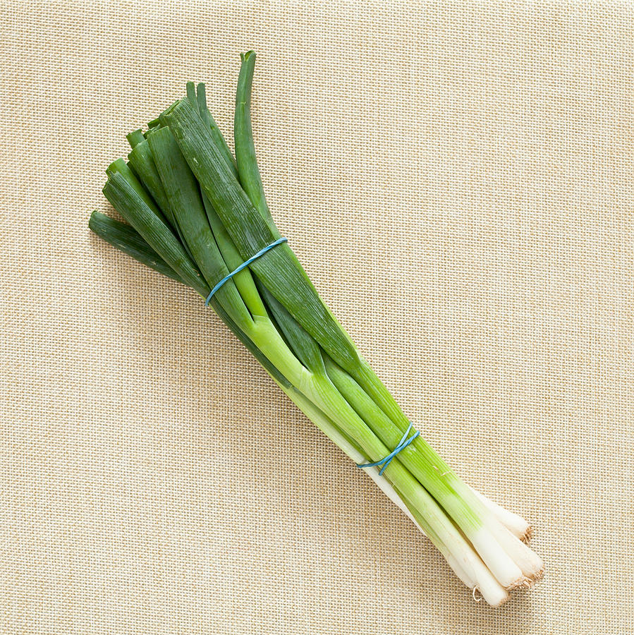 Onion Photograph - Spring onions #1 by Tom Gowanlock