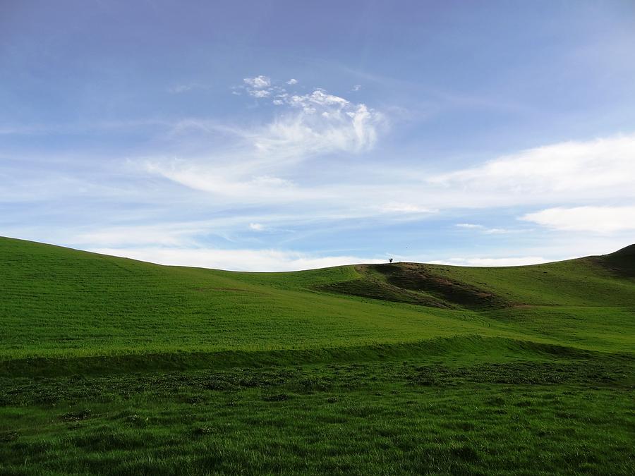 Spring Scene Photograph by Fouzi Taleb Spring Scene Photograph by Fouzi Taleb
