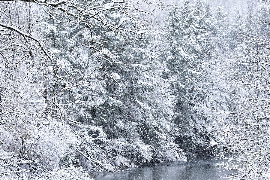 Spring snow along Gauley River #1 Photograph by Thomas R Fletcher