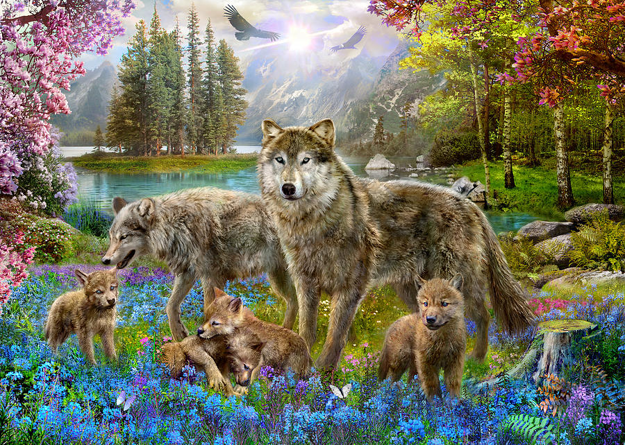 Wolf nom de famille