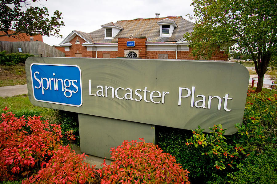 Springs Lancaster Plant Photograph by Joseph C Hinson