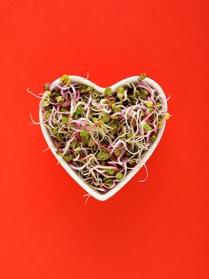 Sprouting Beans In Heart Shaped Bowl #1 Photograph by Science Photo Library