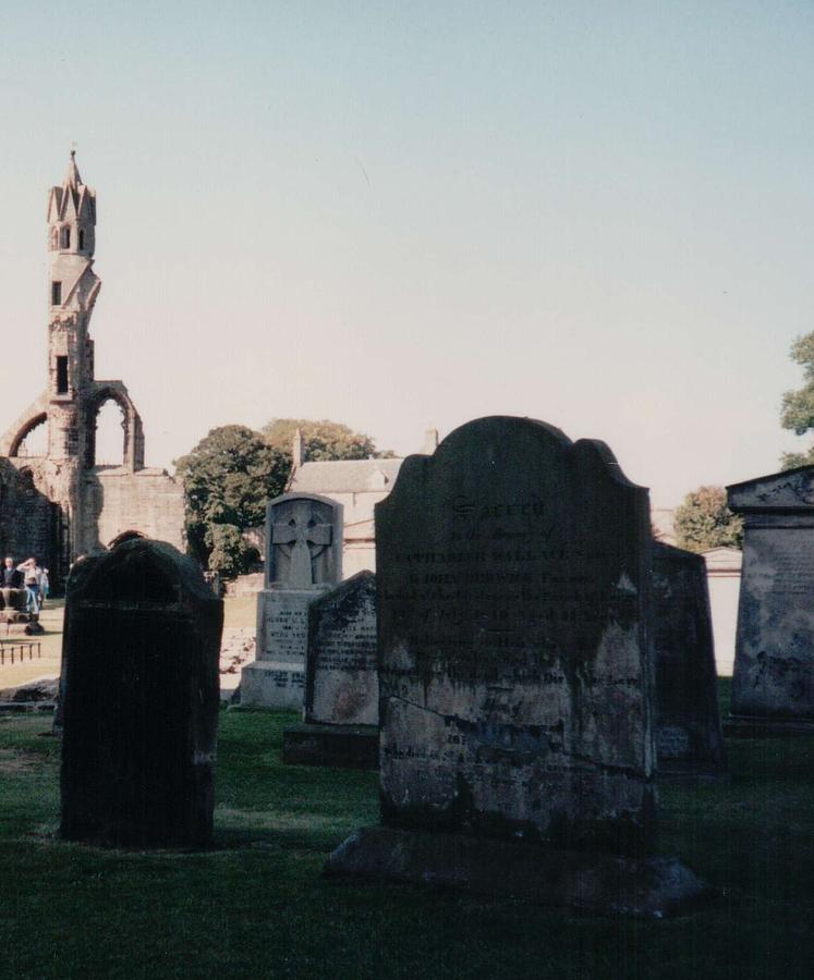 Castle Photograph - St Andrews Cathedral Ruins and Cemetery St Andrews Scotland #1 by Lisa Travis