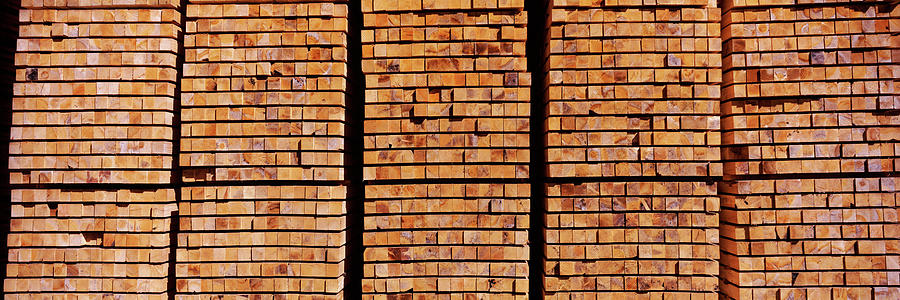 Color Image Photograph - Stack Of Lumber At Sawmill, Eureka #1 by Panoramic Images