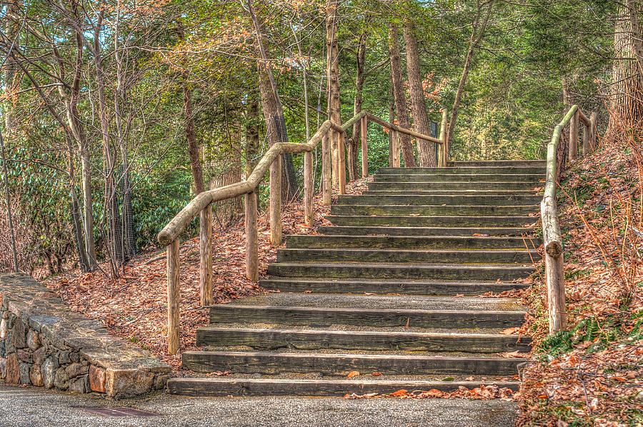 Stairs in the woods Photograph by Keith Baskerville - Pixels