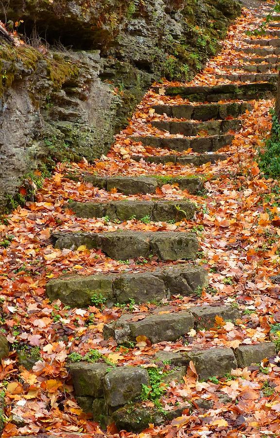 Stairway to Dreams Photograph by Melinda Marsh - Pixels