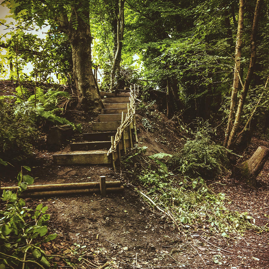 Nature Photograph - Stairway to the Unknown #1 by Gemma Knight