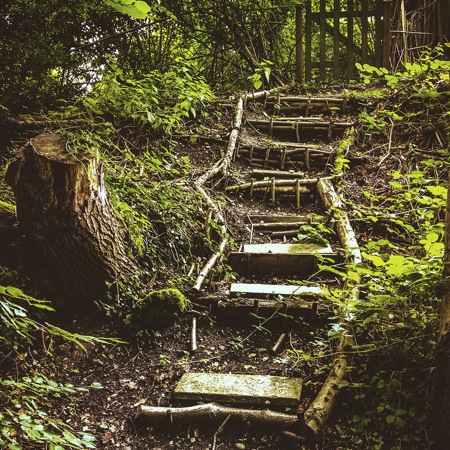 Nature Photograph - Stairway to the Unknown II #1 by Gemma Knight