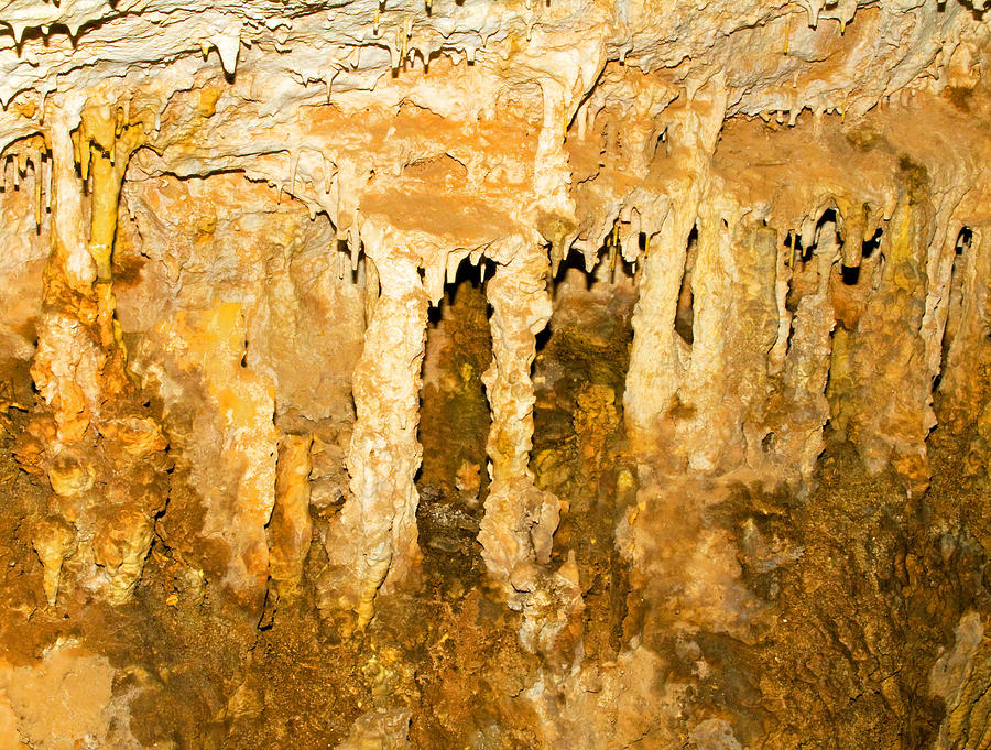 Stalactite Formations In Carlsbad #1 Photograph by Millard H. Sharp