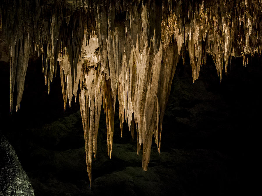Carlsbad Caverns Photograph - Stalactites at Carlsbad #1 by Jean Noren