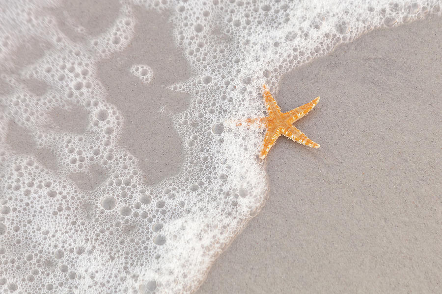 Starfish In The Surf #1 Photograph by Diane Macdonald