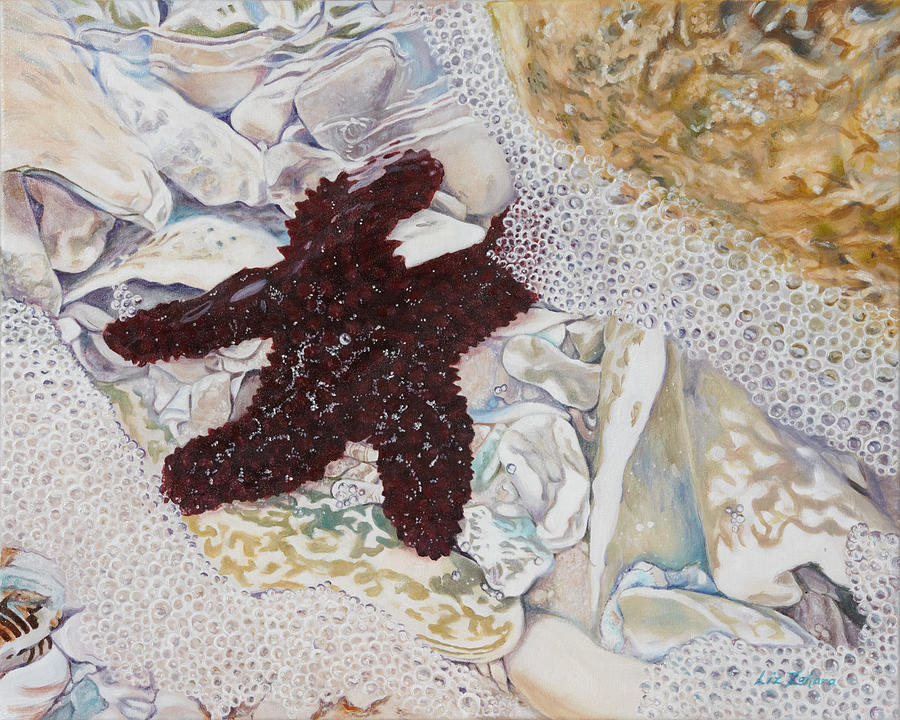 Starfish #1 Painting by Liz Zahara