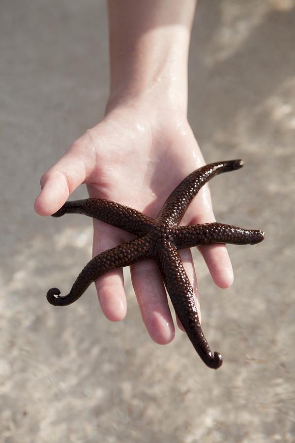 Starfish Turquoise Bay Australia Photograph By Science Photo Library