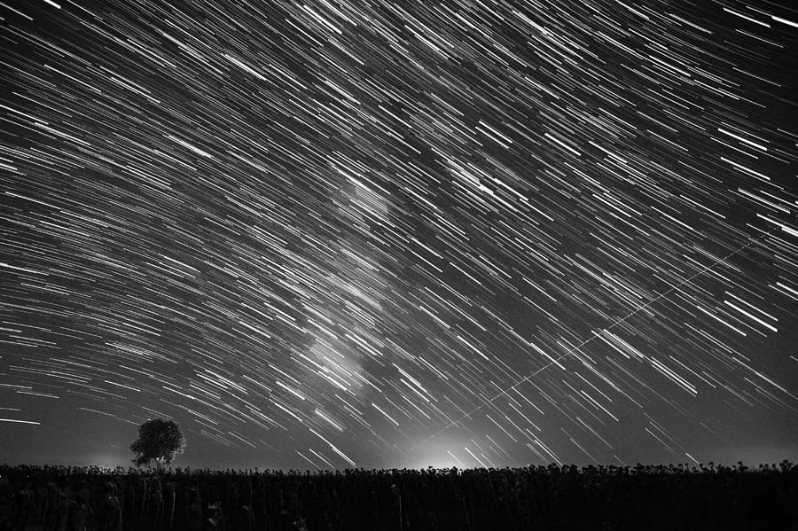 Nature Photograph - Startrail in Alentejo #1 by Andre Goncalves