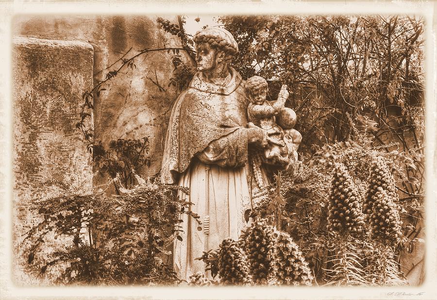 Statue of Saint Francis in the Gardens of the Carmel Mission Forecourt Carmel-by-the-Sea California  #1 Photograph by Michael Mazaika