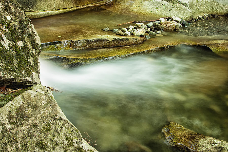 Stickney Brook #1 Photograph by Tom Singleton
