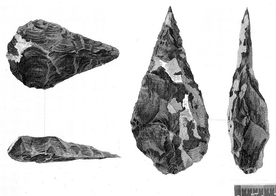 Stone Age Hand-axes From Hoxne, Suffolk #1 Photograph by Wellcome Images