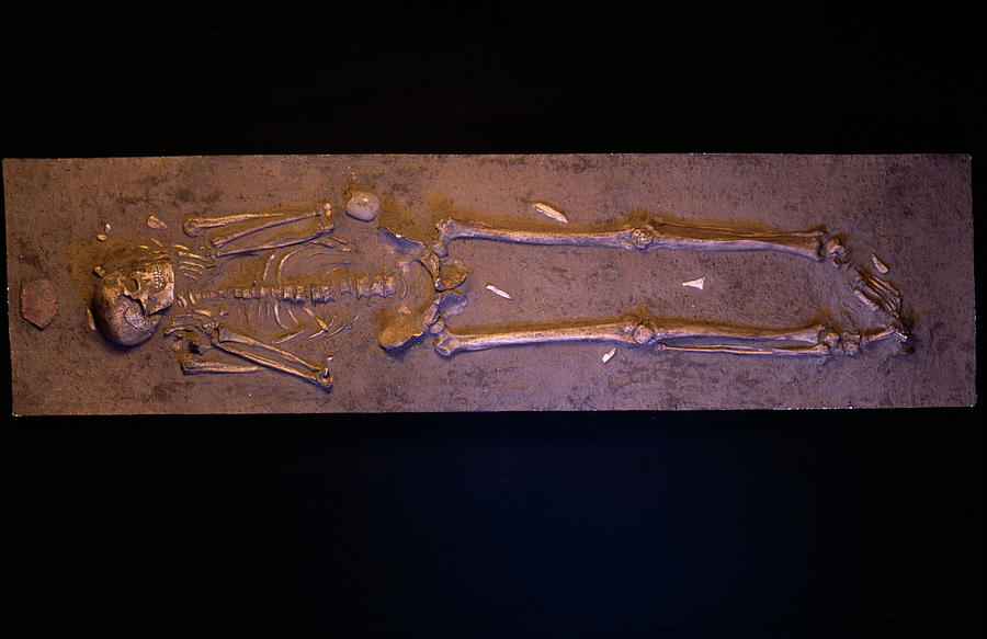 Skeleton Photograph - Stone Age Human Skeleton #1 by Pascal Goetgheluck/science Photo Library