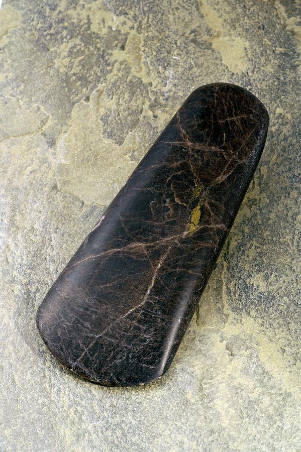 Stone Axe Head #1 Photograph by Michael Clutson/science Photo Library