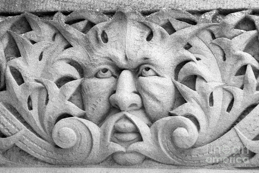 Vintage Photograph - Stone Face II by Sarah Schroder
