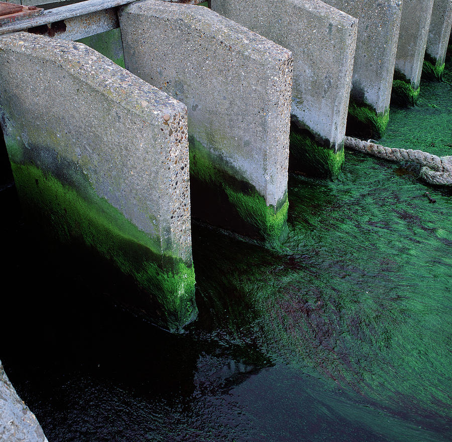 Storm Drainage #1 Photograph by Robert Brook/science Photo Library