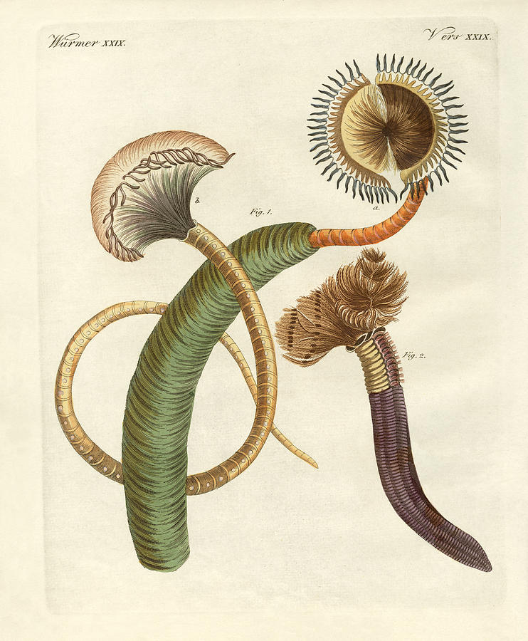 Animal Drawing - Strange worms #1 by Splendid Art Prints