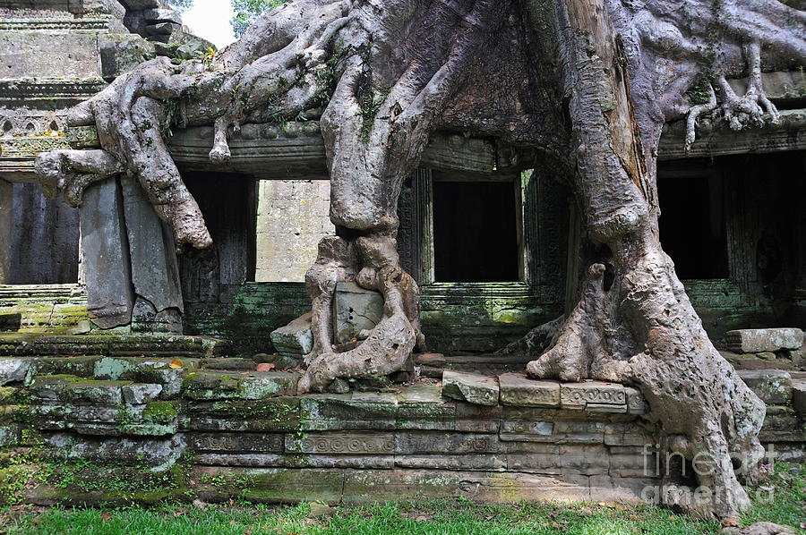 Architecture Photograph - Strangler fig tree roots on Preah Khan Temple #1 by Sami Sarkis