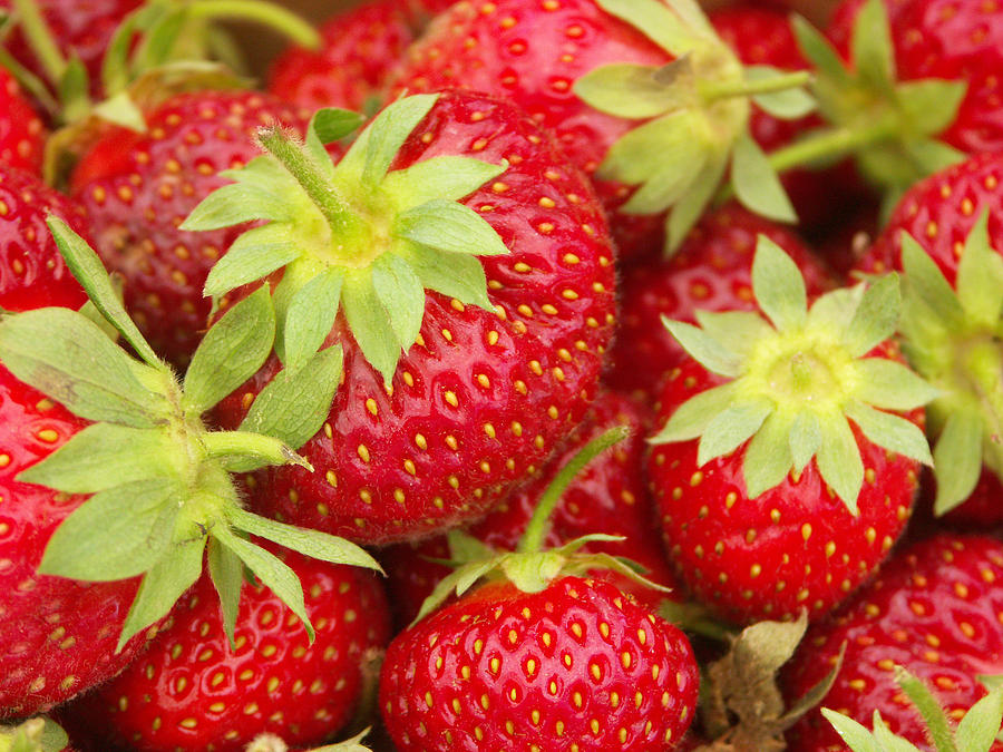 Strawberries #1 Photograph by Bonnie Sue Rauch