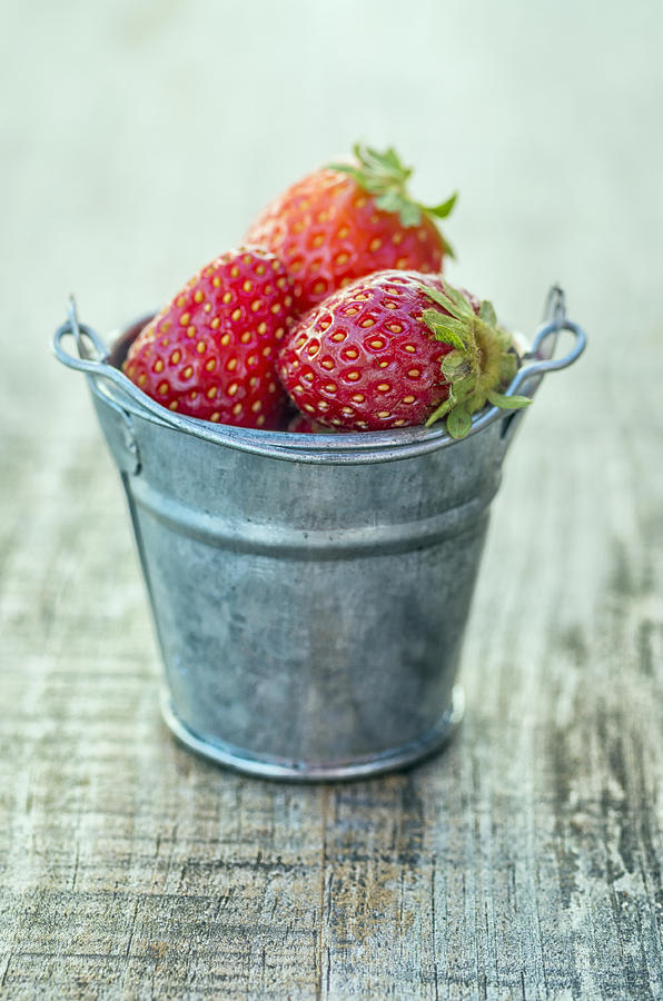 Strawberries in pots #1 Photograph by Paulo Goncalves