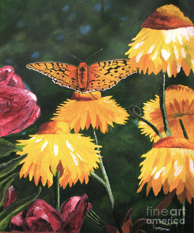 Strawflower Butterfly Painting by Wendy Diane Morris - Fine Art America