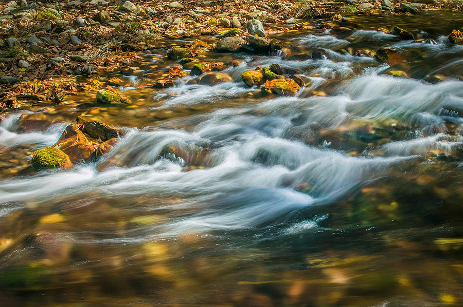 Landscape Photograph - Stream Fall Colors Great Smoky Mountains Painted  #1 by Rich Franco