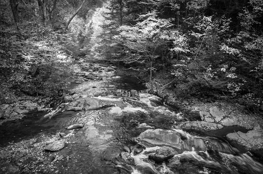 Stream Great Smoky Mountains Painted BW #2 Photograph by Rich Franco