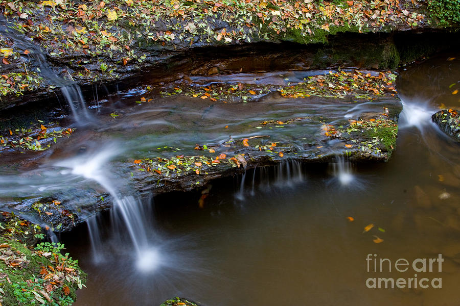 Stream In Autumn #1 Photograph by Frank Fox