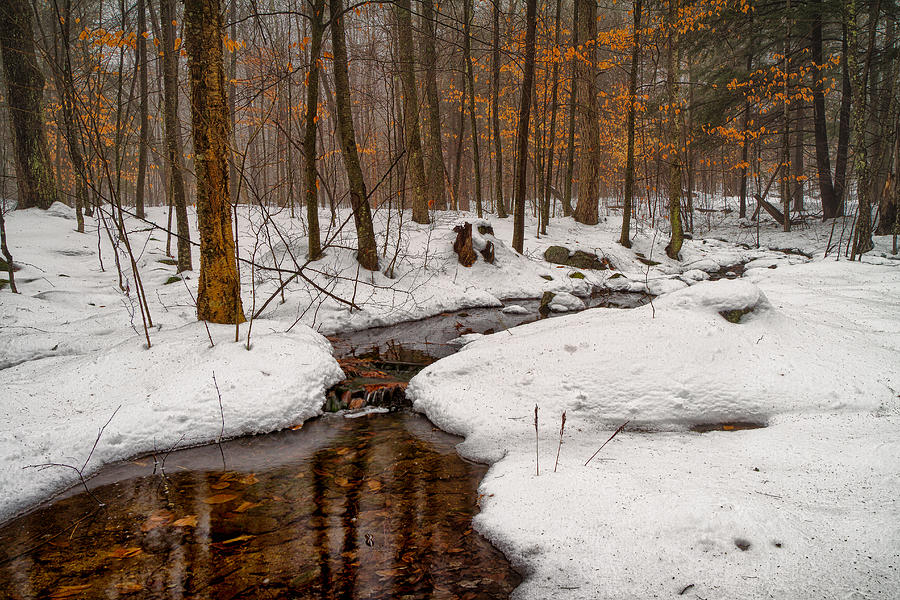 Stream Through The Misty Winter Woods #2 Photograph by Jeff Sinon