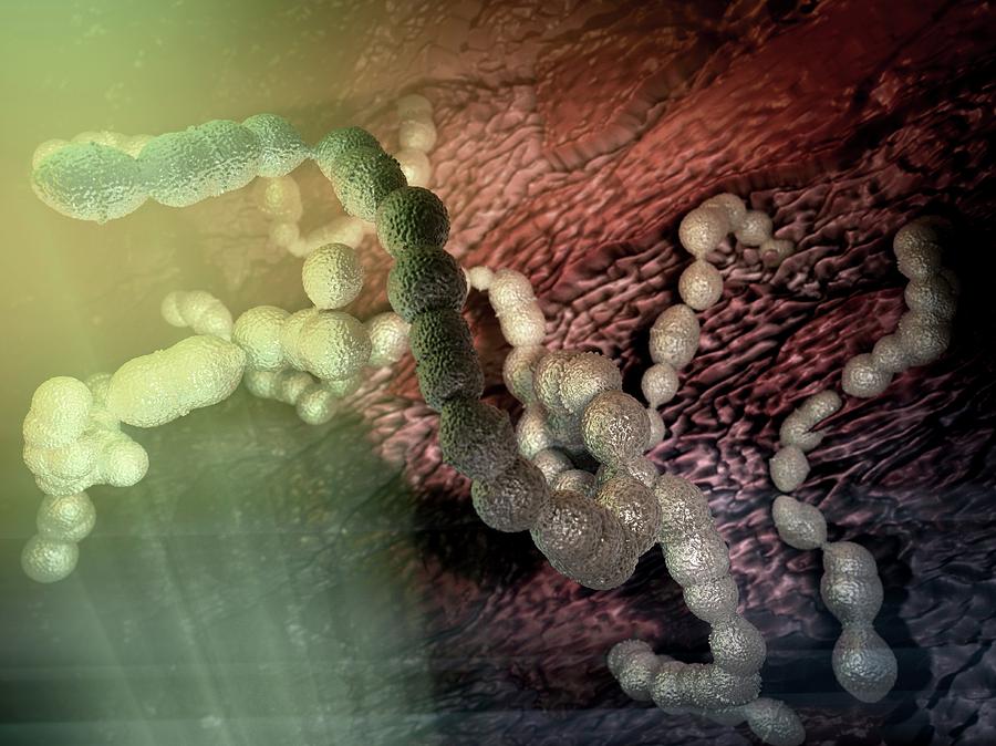 Bacteria Photograph - Streptococcus Pneumoniae Artwork #1 by Hipersynteza