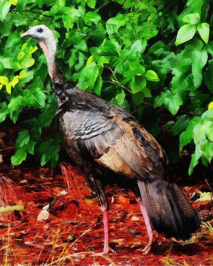 Struttin' Painting by Mark Wickham - Fine Art America