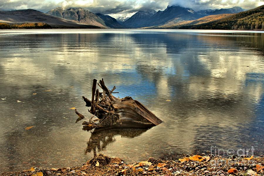 Glacier National Park Photograph - Stumped #1 by Adam Jewell