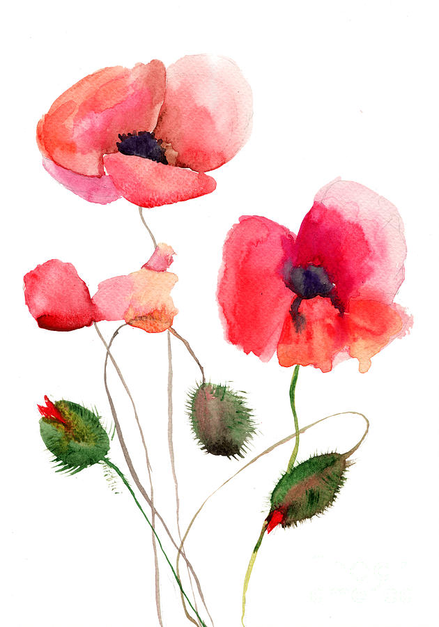 Nature Painting - Stylized Poppy flowers illustration #1 by Regina Jershova