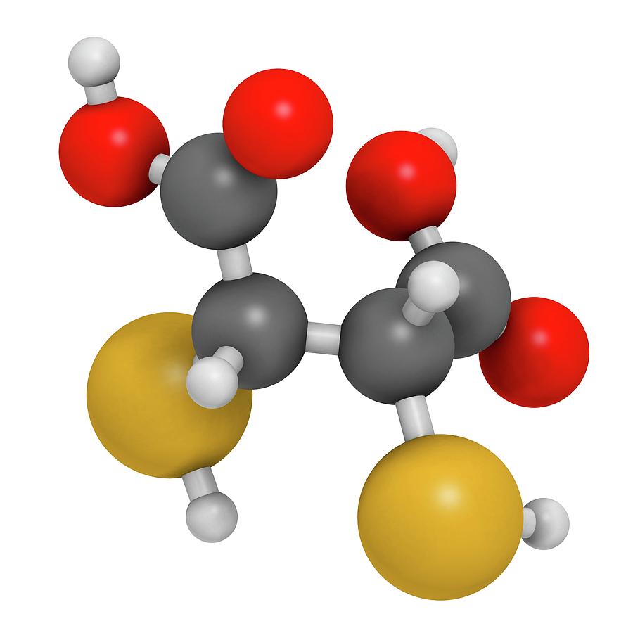 Succimer Acid Molecule #1 Photograph by Molekuul