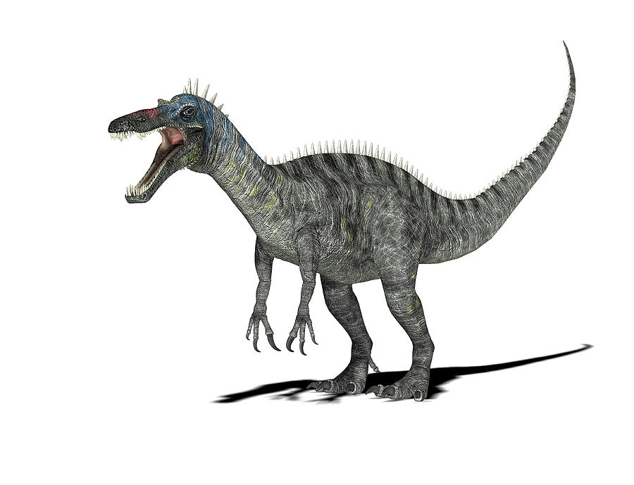 suchomimus dinosaur