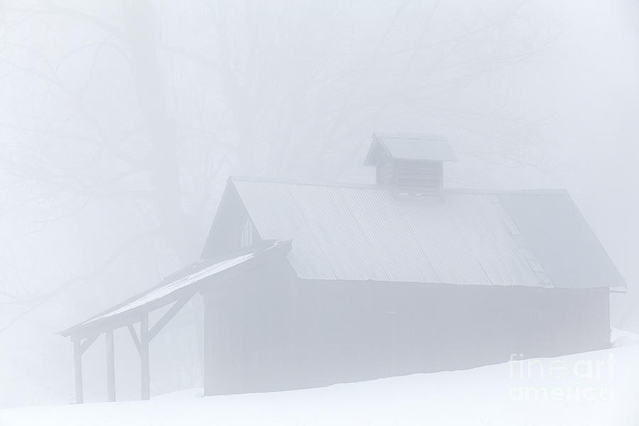 Sugarhouse Fog Photograph by Alan L Graham