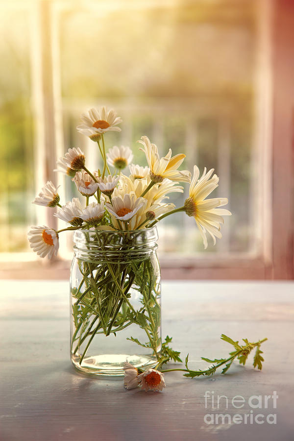 Summer daisies in glass jar #1 Photograph by Sandra Cunningham