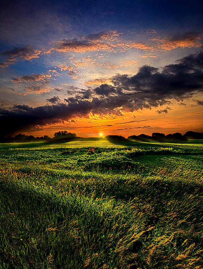 Summer Dreams Photograph by Phil Koch