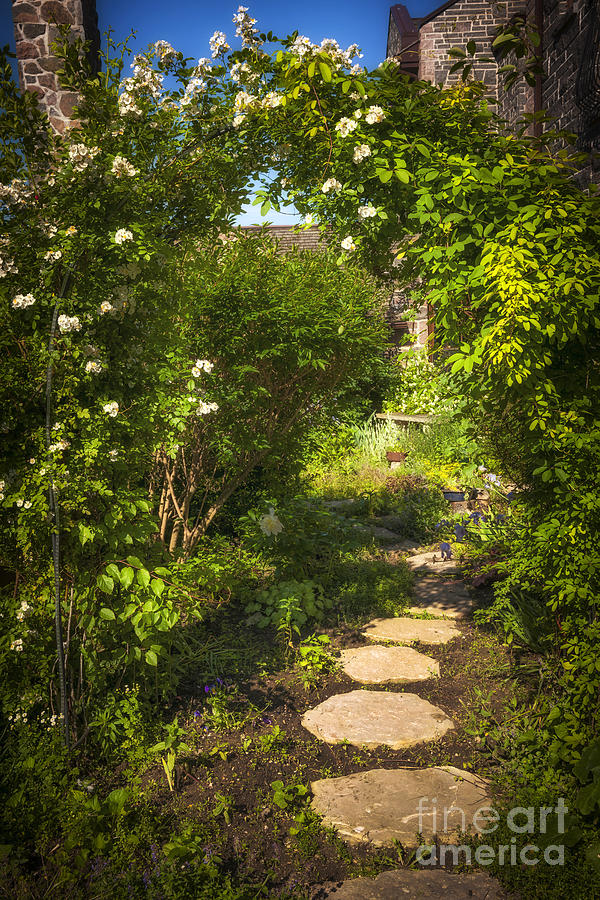 Summer garden and path 1 Photograph by Elena Elisseeva