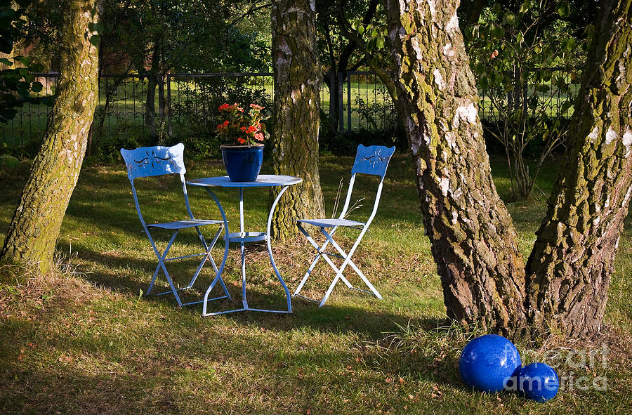 Garden Photograph - Summer Garden by David Davies Garden Photograph - Summer Garden by David Davies